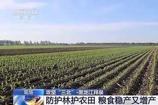 记者：800万欧非强制先租后买，塞维利亚与国米敲定阿古梅交易